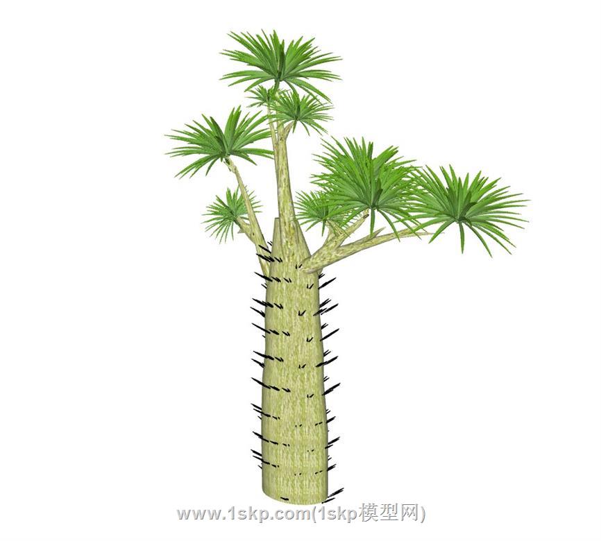 热带树SU模型