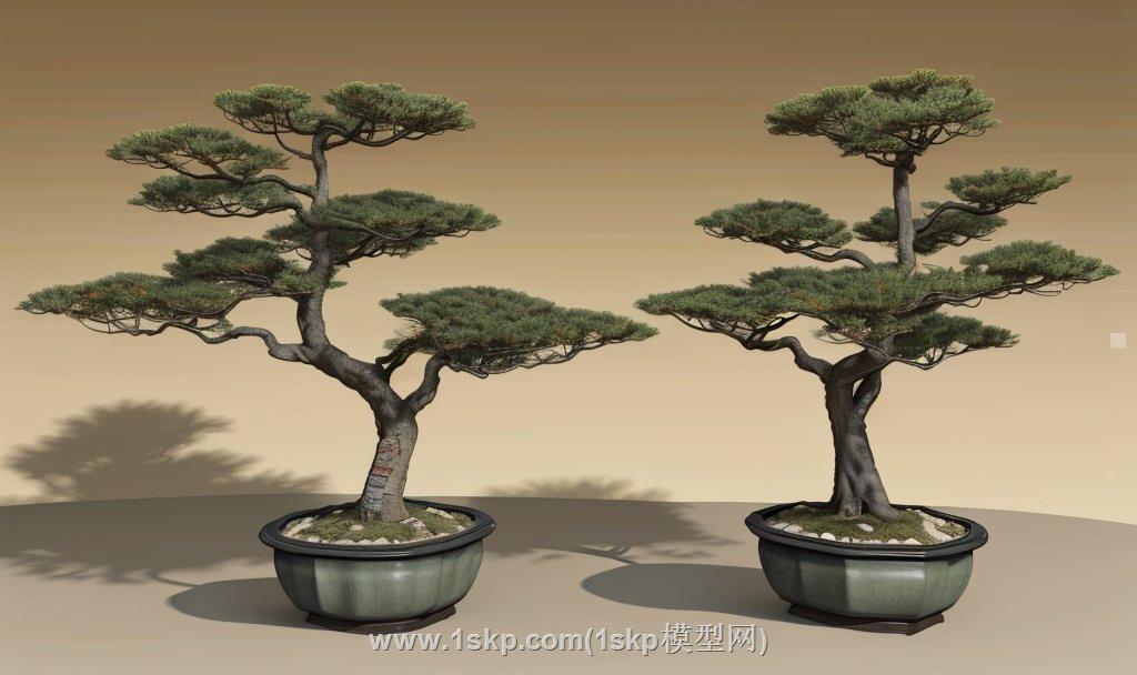 松树盆栽SU模型