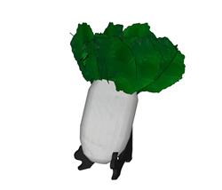 大白菜萝卜蔬菜SU模型