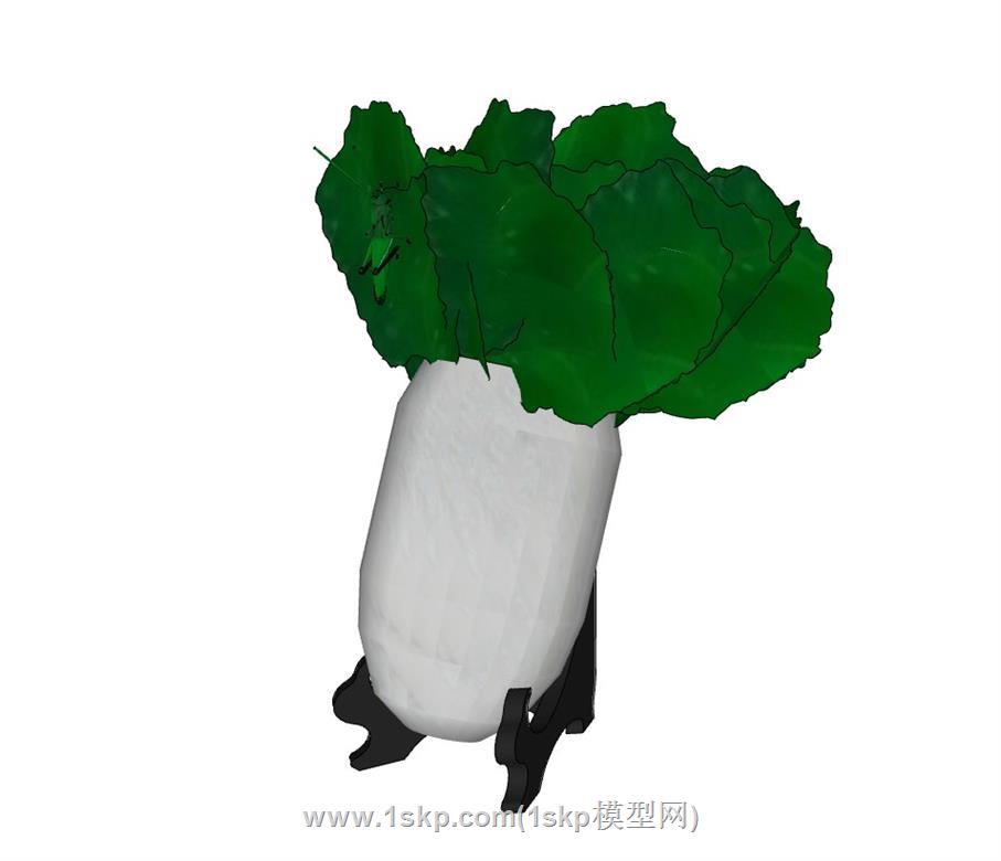 大白菜萝卜蔬菜SU模型