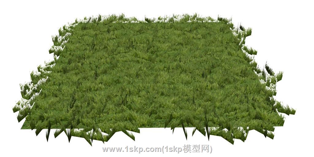 草皮草地SU模型