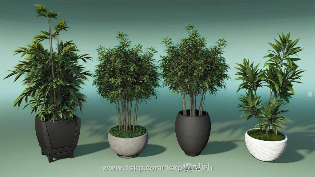 花盆盆栽植物SU模型