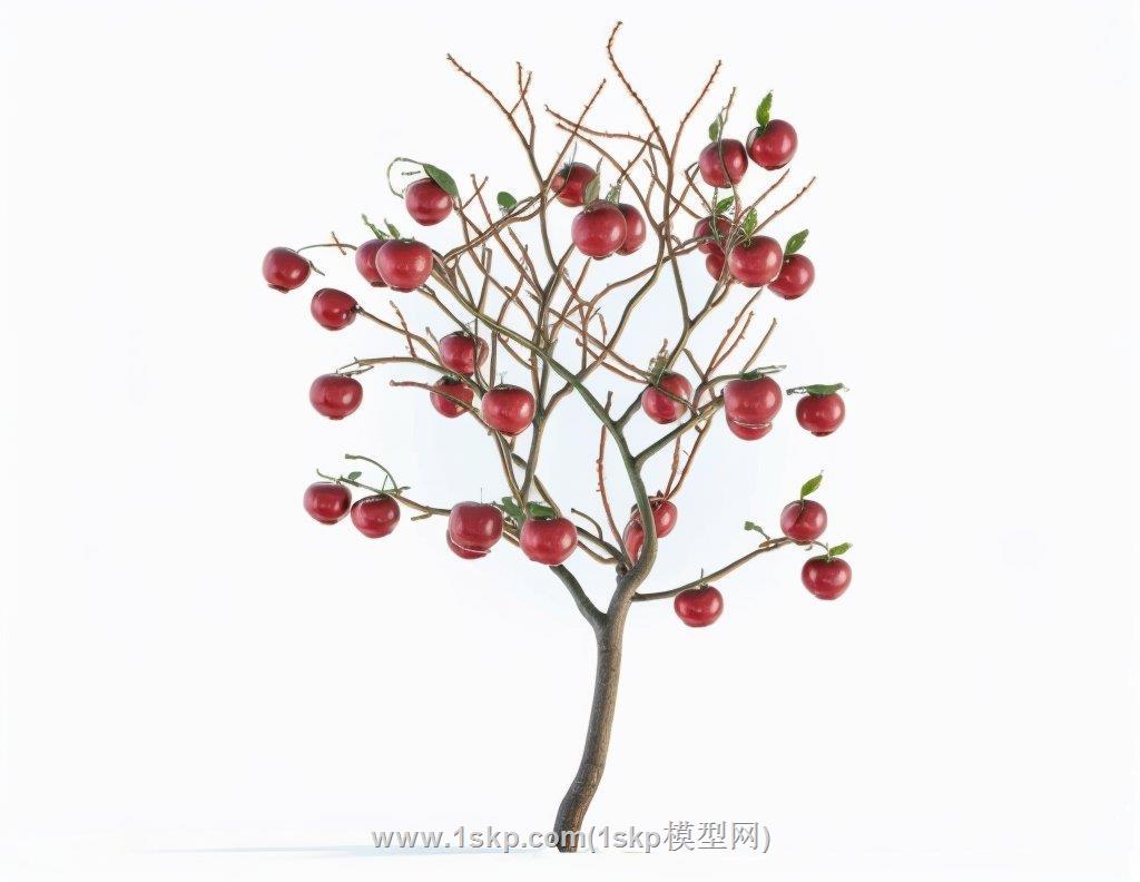 苹果树SU模型