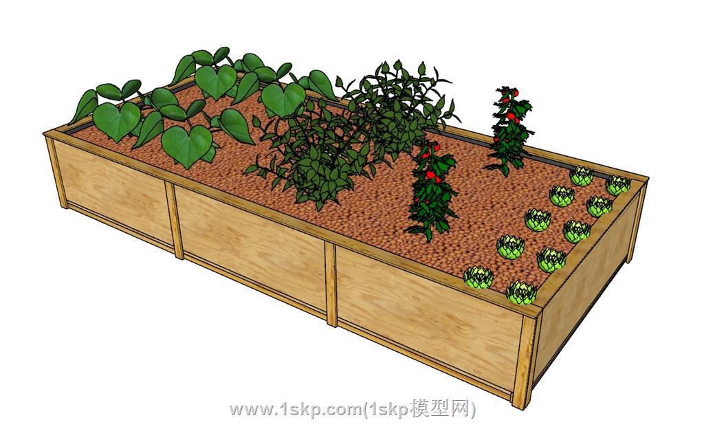 农作物蔬菜SU模型