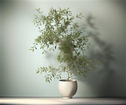 花盆盆栽SU模型