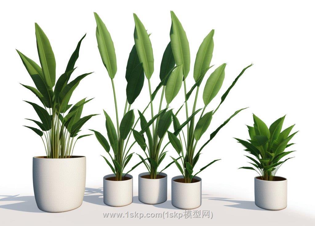 盆栽植物SU模型