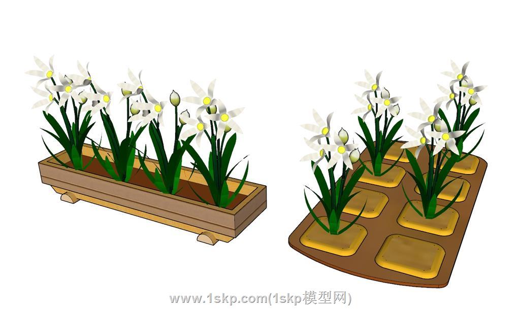 花箱植物SU模型