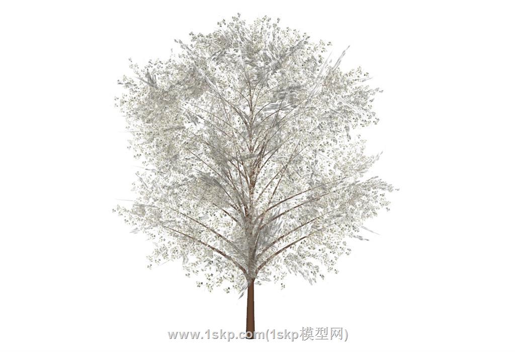 下雪天冬天的树SU模型