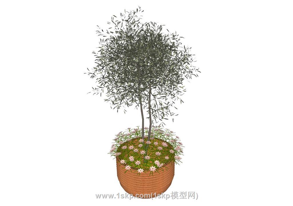 花盆SU模型