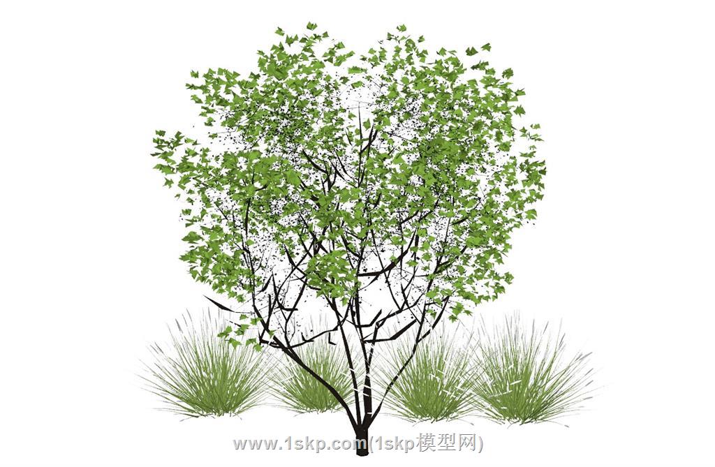 灌木植物配景SU模型