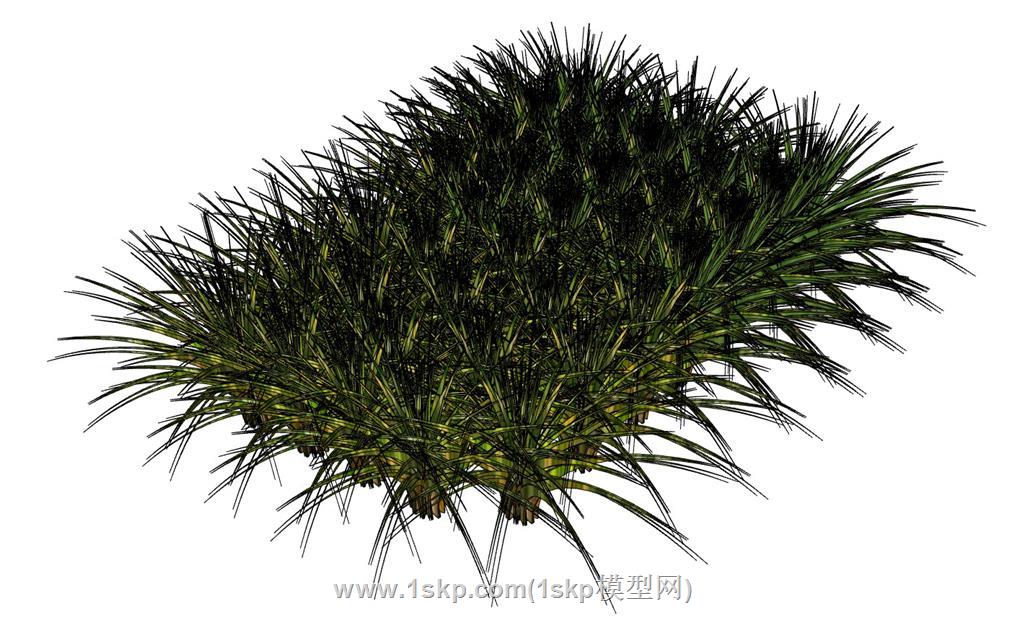 枯草野草