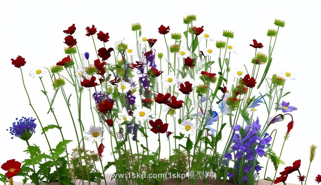 山花野花植物