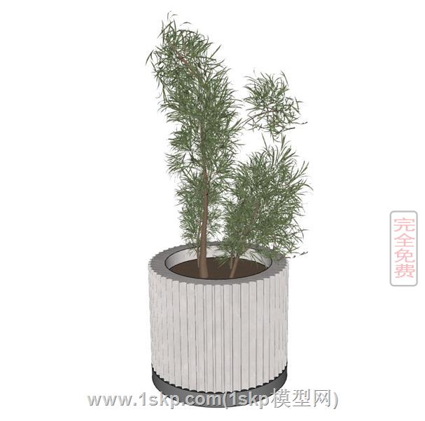 道具树植物花盆