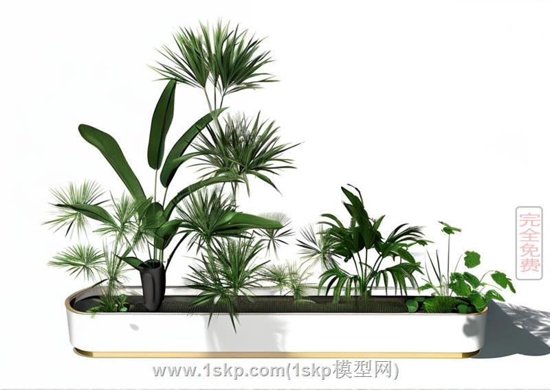 花坛花箱