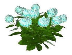 蓝色绣球花植物