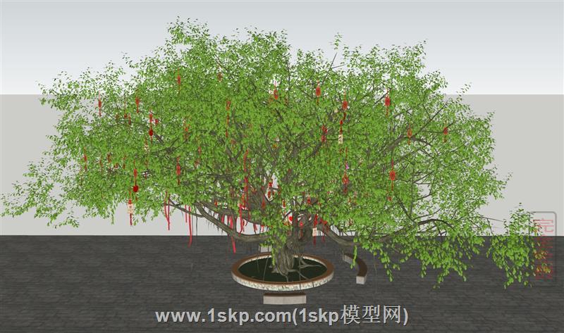 许愿树祈福树名树古树