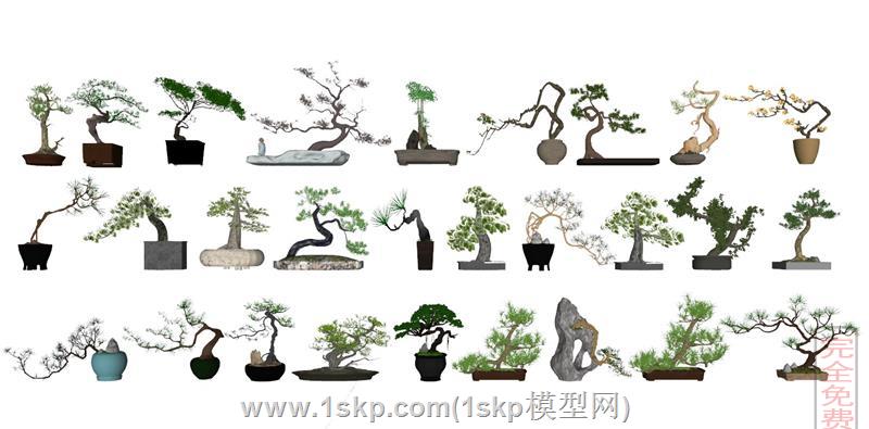 中式迎客松罗汉松盆栽