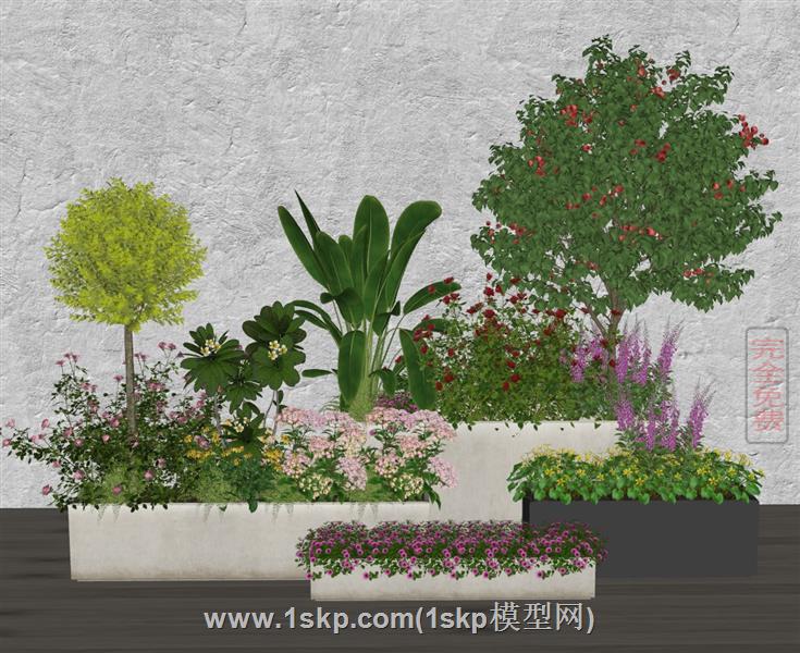 矮灌木花池子植物花箱