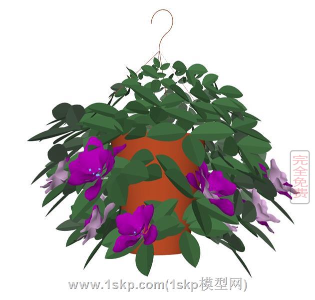 紫色花朵吊篮