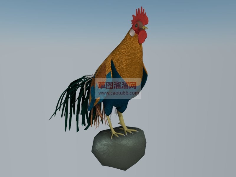 公鸡打鸣SU模型