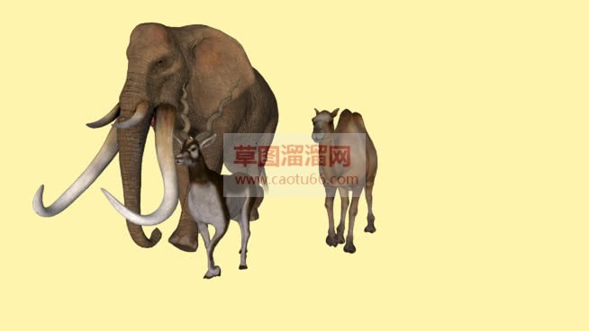 sketchSU模型