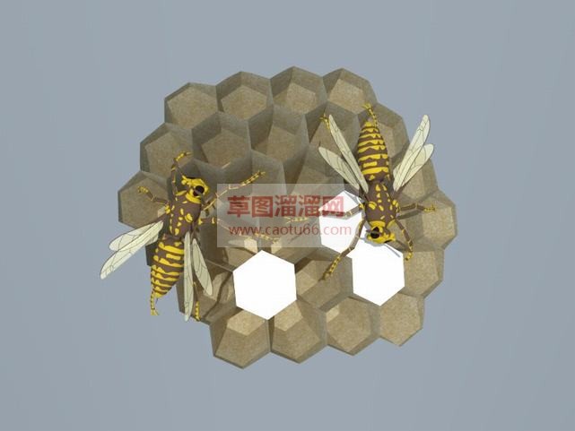 蜂巢下载SU模型