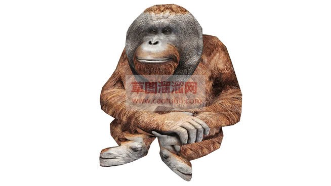 狒狒猩猩猴子SU模型