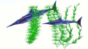 海草+海鱼SU模型
