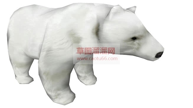 北极熊动物草SU模型