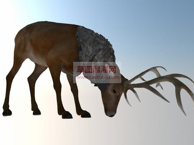 麋鹿小鹿动物SU模型