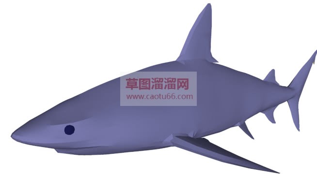 鲨鱼草图大师SU模型
