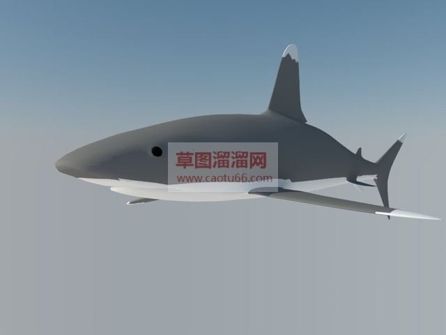 大白鲨鲨鱼SU模型