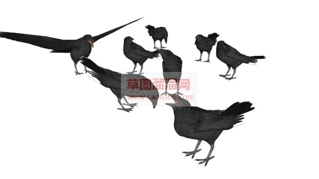 乌鸦鸟库免费SU模型