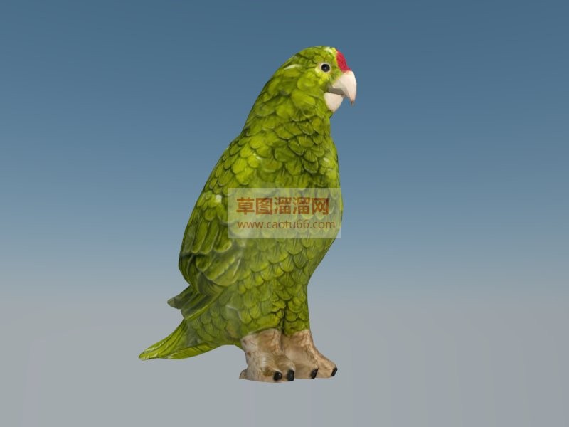 鹦鹉鸟SU模型