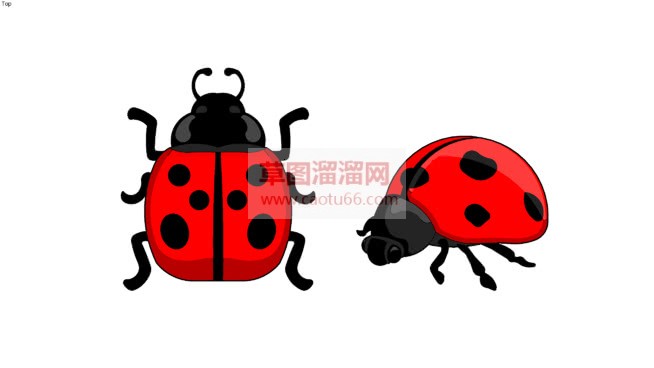 怎么画七星瓢SU模型