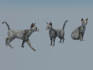 小猫动物SU模型
