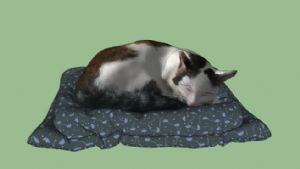 装饰小猫咪SU模型