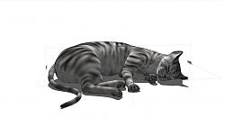 懒猫咪动物SU模型