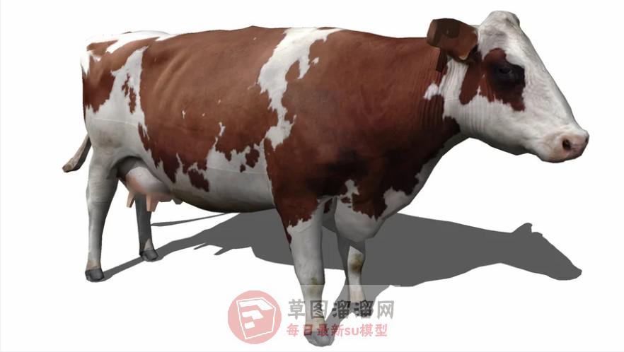 奶牛SU模型