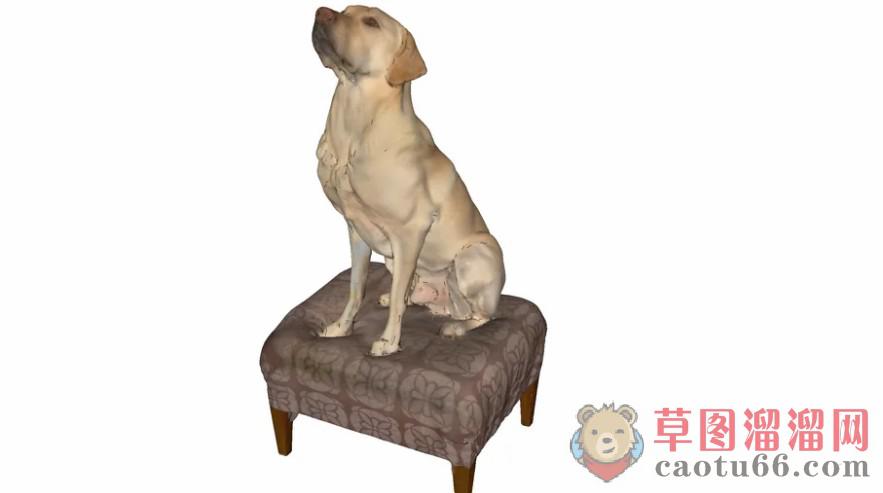 3D狗动物SU模型