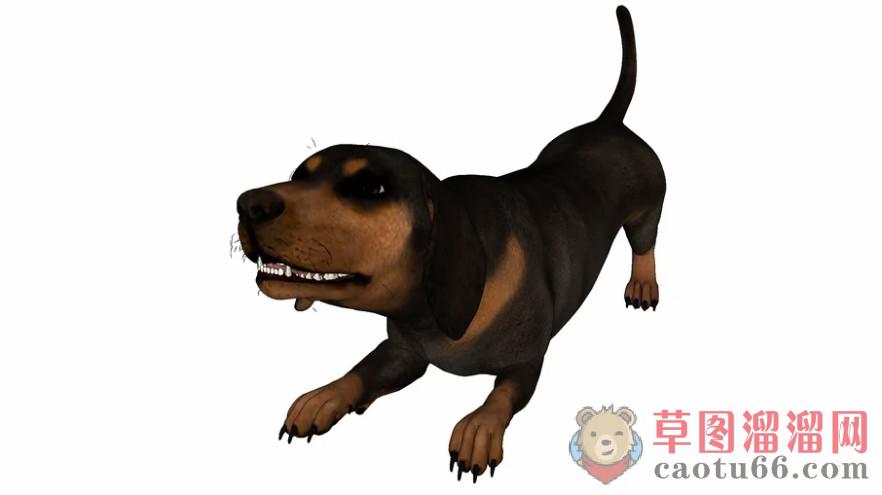 狗SU模型