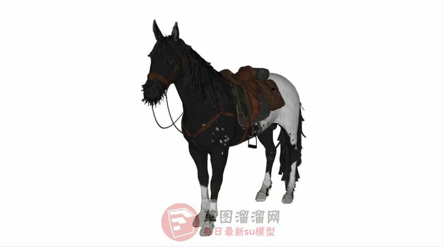 汗血宝马马SU模型