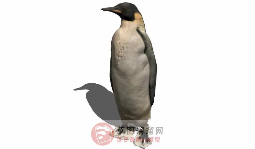 企鹅动物SU模型