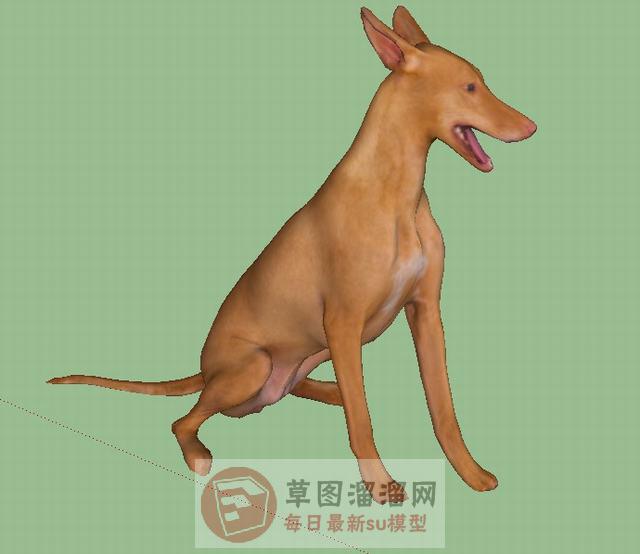 狗犬动物SU模型