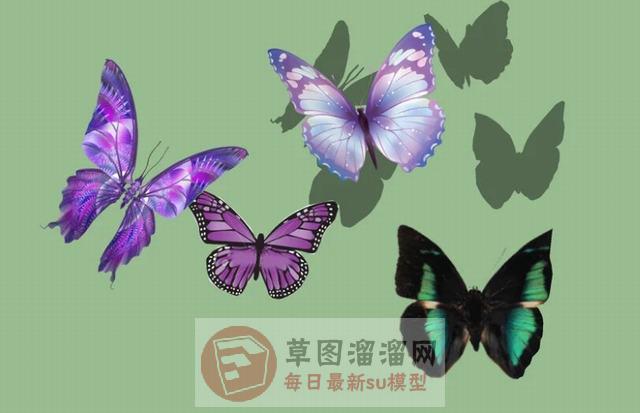 蝴蝶SU模型