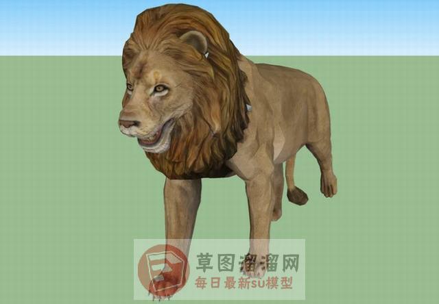 狮子动物SU模型