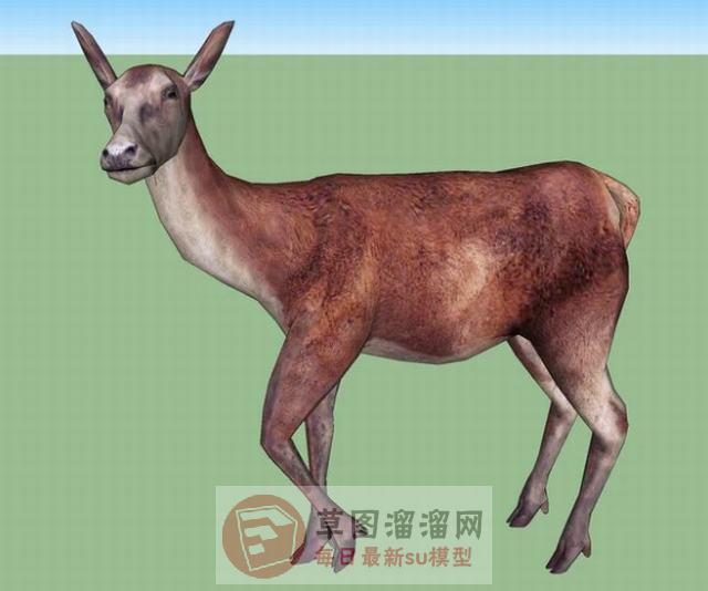 小鹿动物SU模型