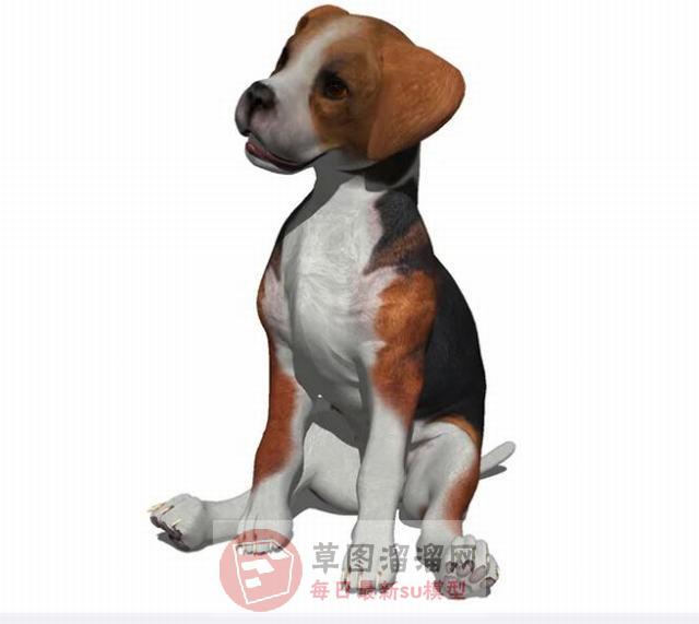 小狗动物坐姿SU模型