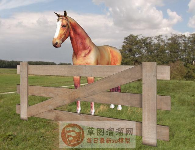 马动物SU模型