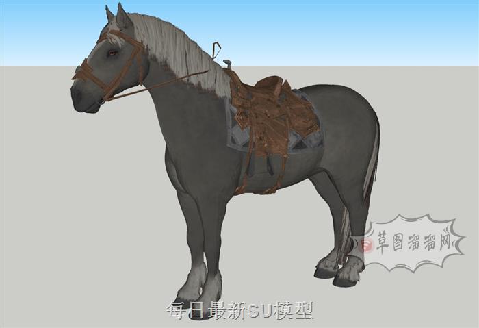 马匹汗血宝马马SU模型